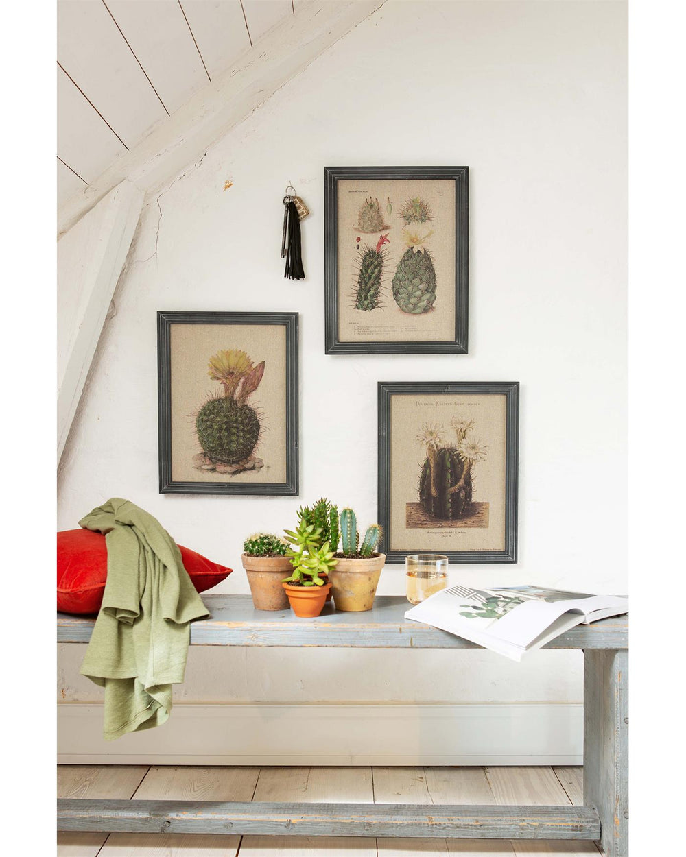Wandbild Weißer Kaktus