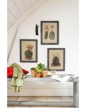 Wandbild Weißer Kaktus