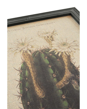 Wandbild Weißer Kaktus