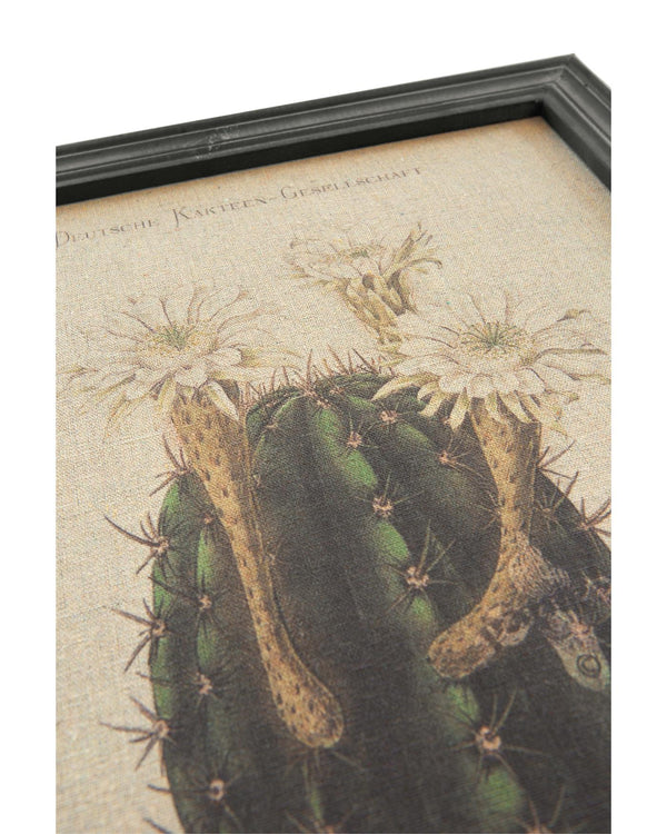 Wandbild Weißer Kaktus