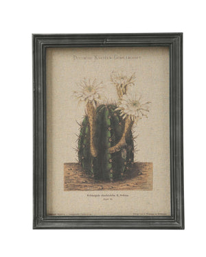 Wandbild Weißer Kaktus