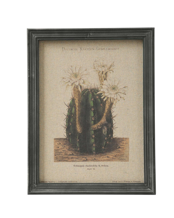 Wandbild Weißer Kaktus