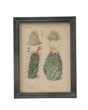 Wandbild Kaktuspflanzen