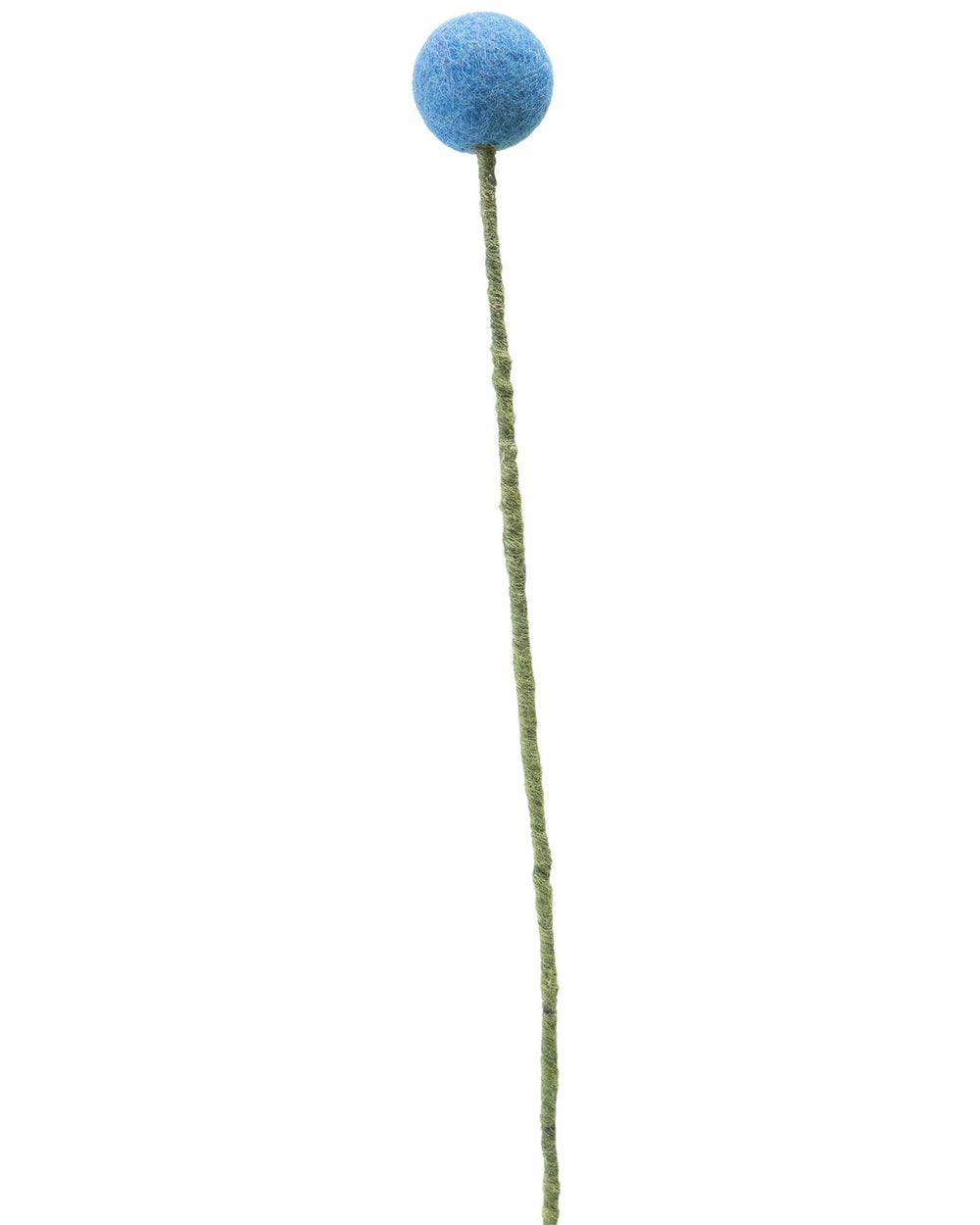 Pomponblume Blau