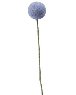 Pomponblume Lavendel